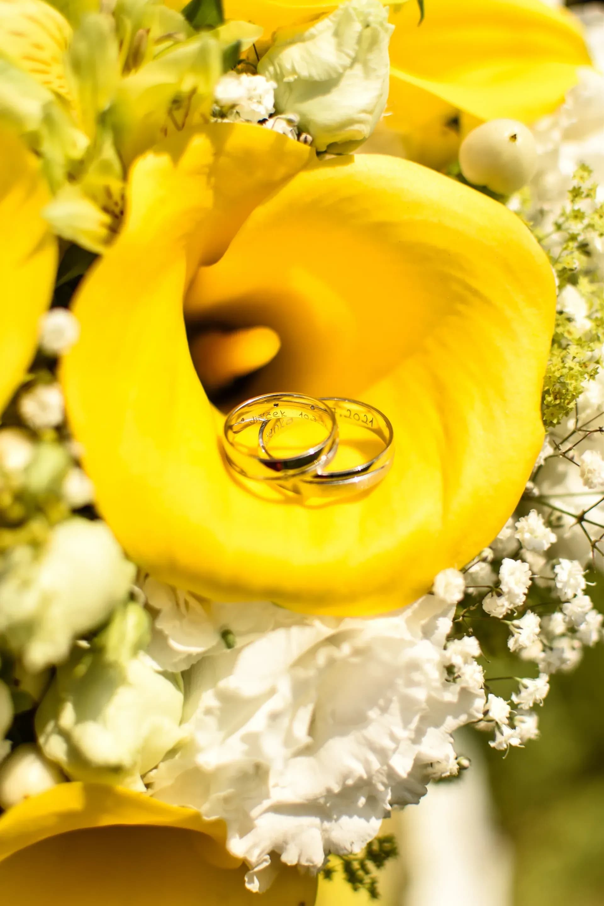 Svatební fotografie