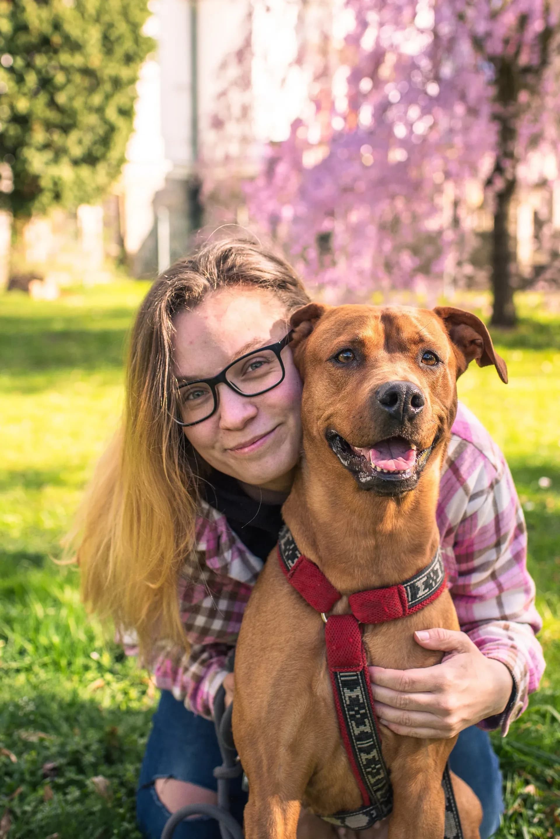 Portrétní fotografie